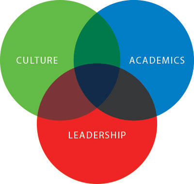 Culture academics leadership diagram